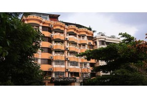 Hotel Tropical Daisy