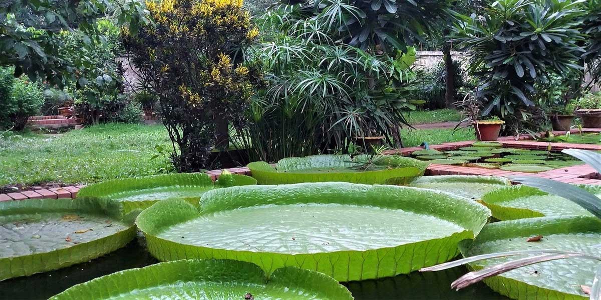 Baldha Garden