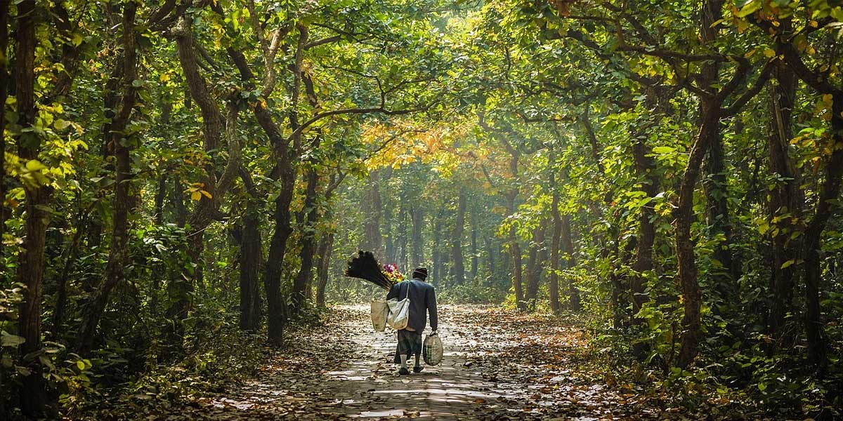 Madhupur National Park