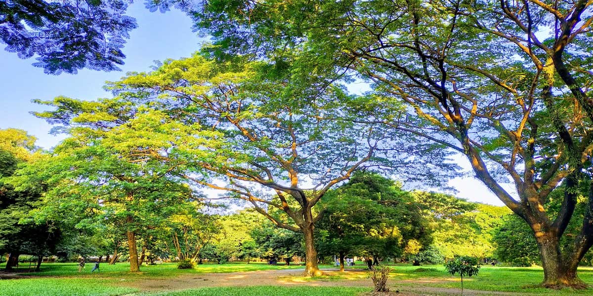 Ramna Park